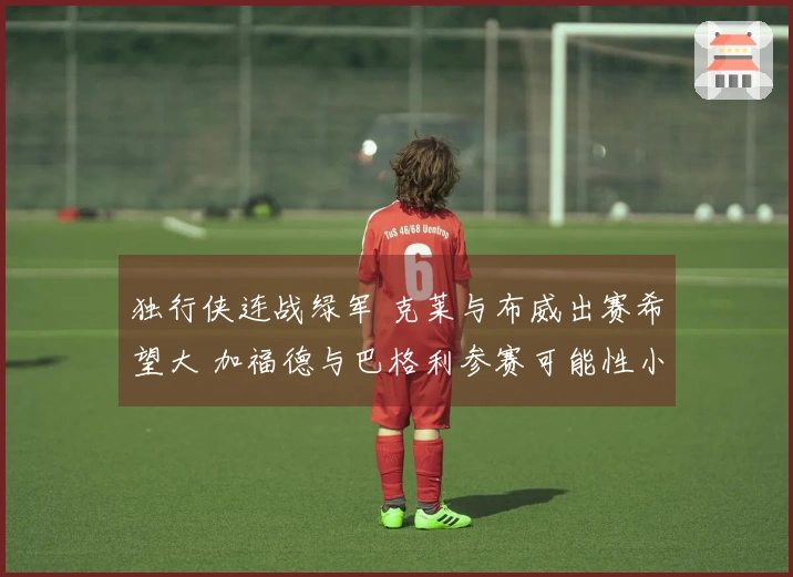 独行侠连战绿军 克莱与布威出赛希望大 加福德与巴格利参赛可能性小